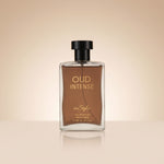Instyle Oud Intense 100ml - hero
