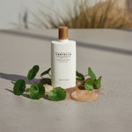 [SKIN1004(EU)] MADAGASCAR CENTELLA AIR-FIT SUNCREAM PLUS SPF50+ PA++++ 50ML (EU) - texture