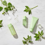 [Abib] HEARTLEAF CALMING TRIAL KIT(FOAM 30ML+TONER 30ML+SERUM 15ML+CREAM 20ML) — Sérénité et apaisement cutané - ingredients