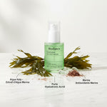 [BIODANCE] REFRESHING SEA KELP SERUM 30ml — Sérum hydratant à l'algue marine - ingredients
