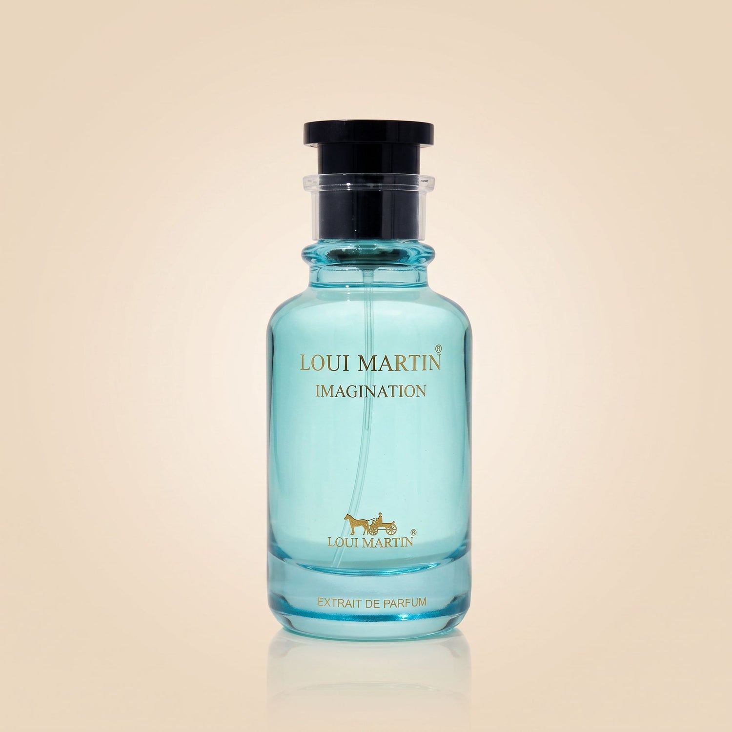 LOUI MARTIN Imagination Extrait de Parfum 100ml - hero