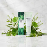 SKIN1004 Madagascar Centella Tea-Trica BHA Foam – Mousse Nettoyante Purifiante 125 ml - ingredients