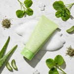[Abib] ACNE FOAM CLEANSER HEARTLEAF FOAM 150ML - ingredients